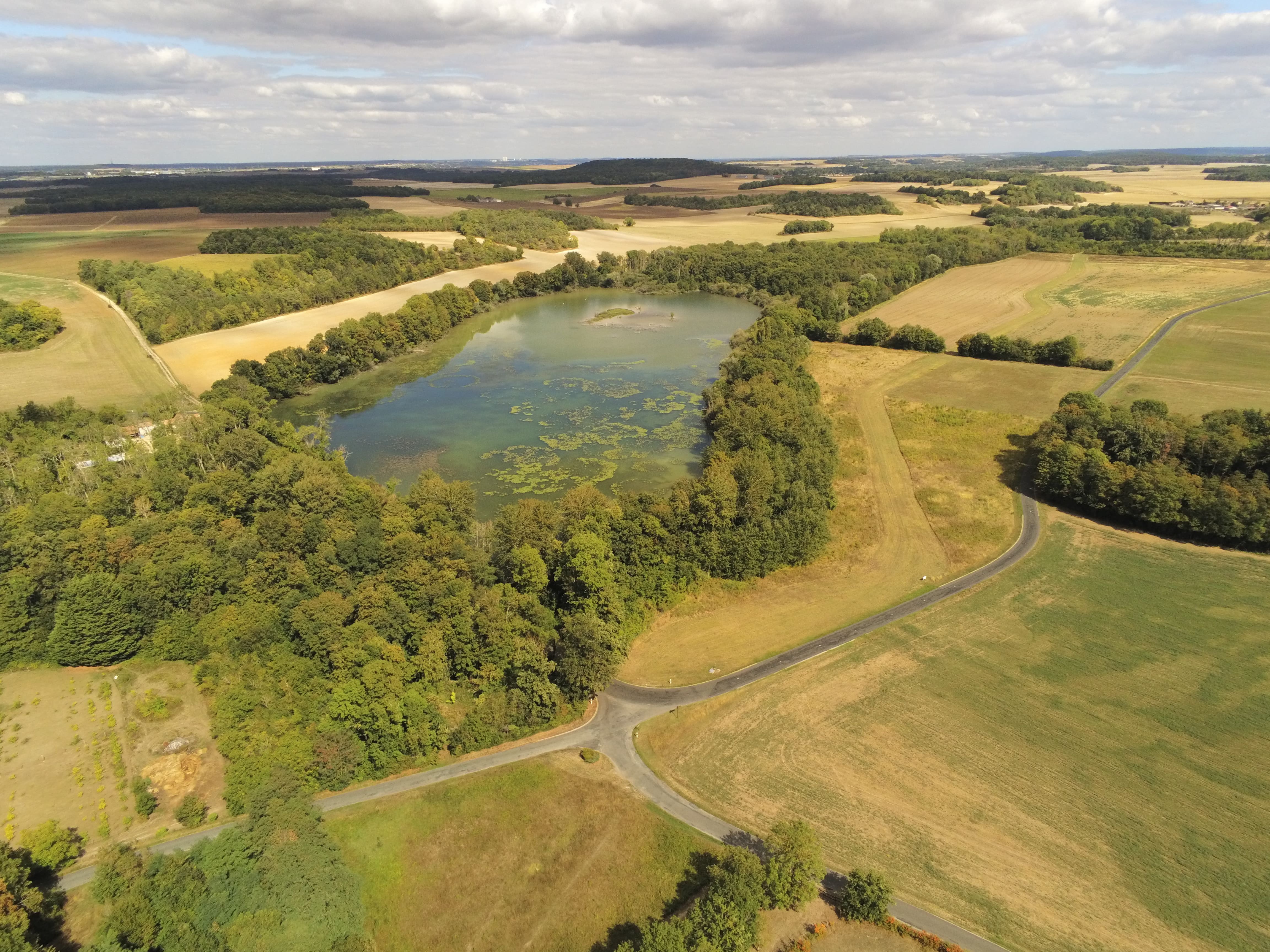 background-rubriques5 (1)